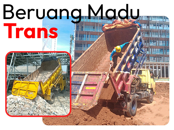 profil beruang madu trans 1